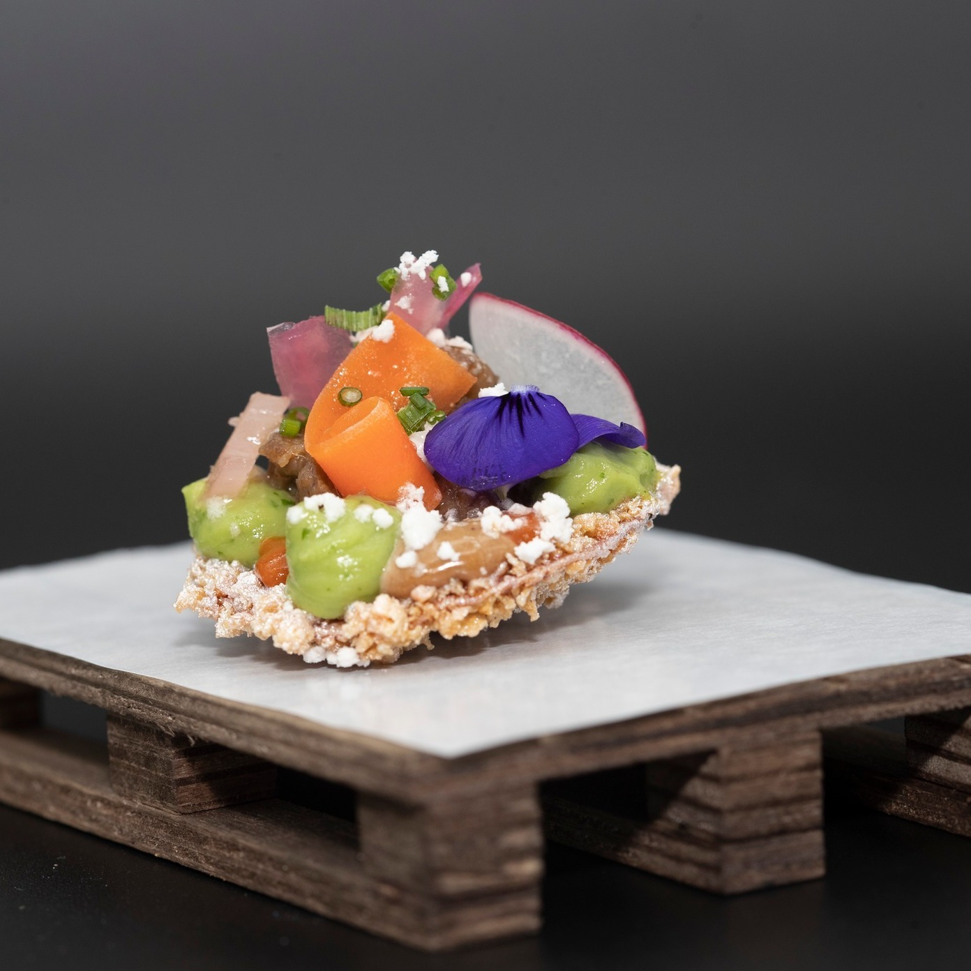 campeonato-pintxos-euskadi-navarra